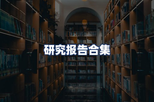 研究报告合集